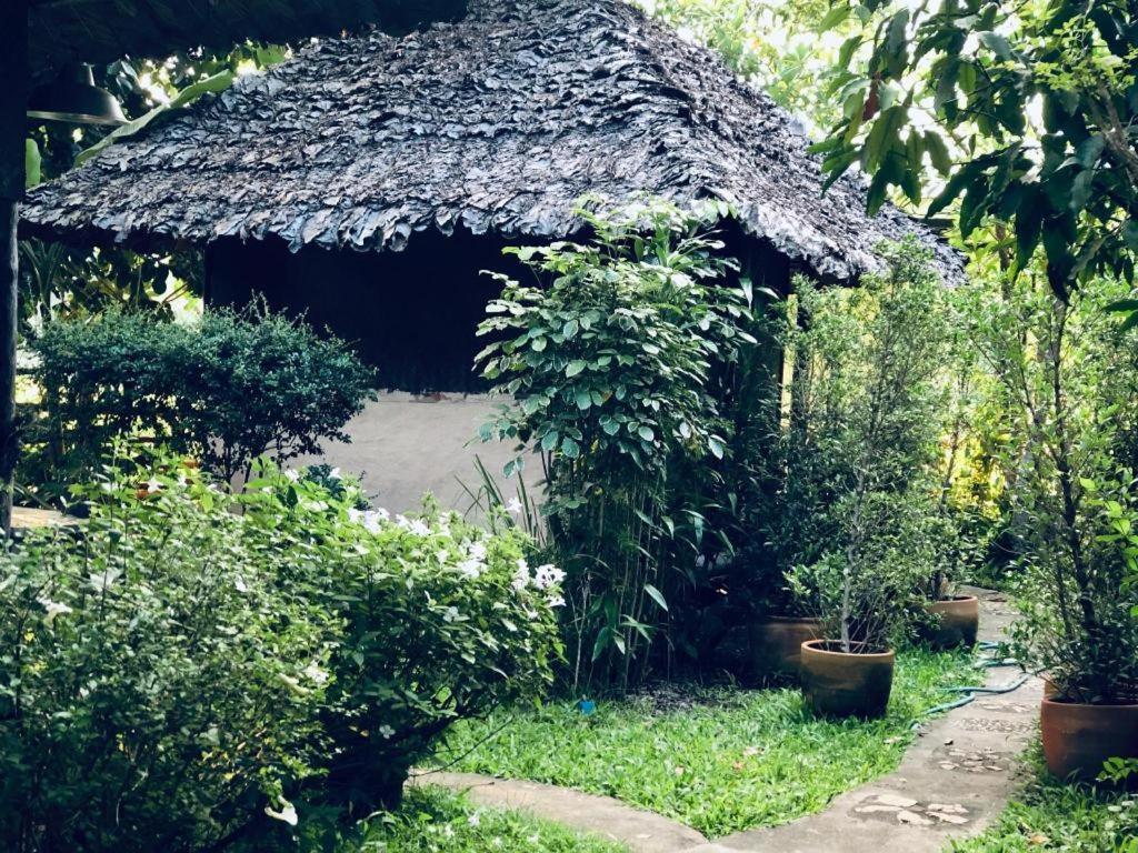 Khun Nai Tern Sai Hotel (Adults Only) Pai Exterior foto