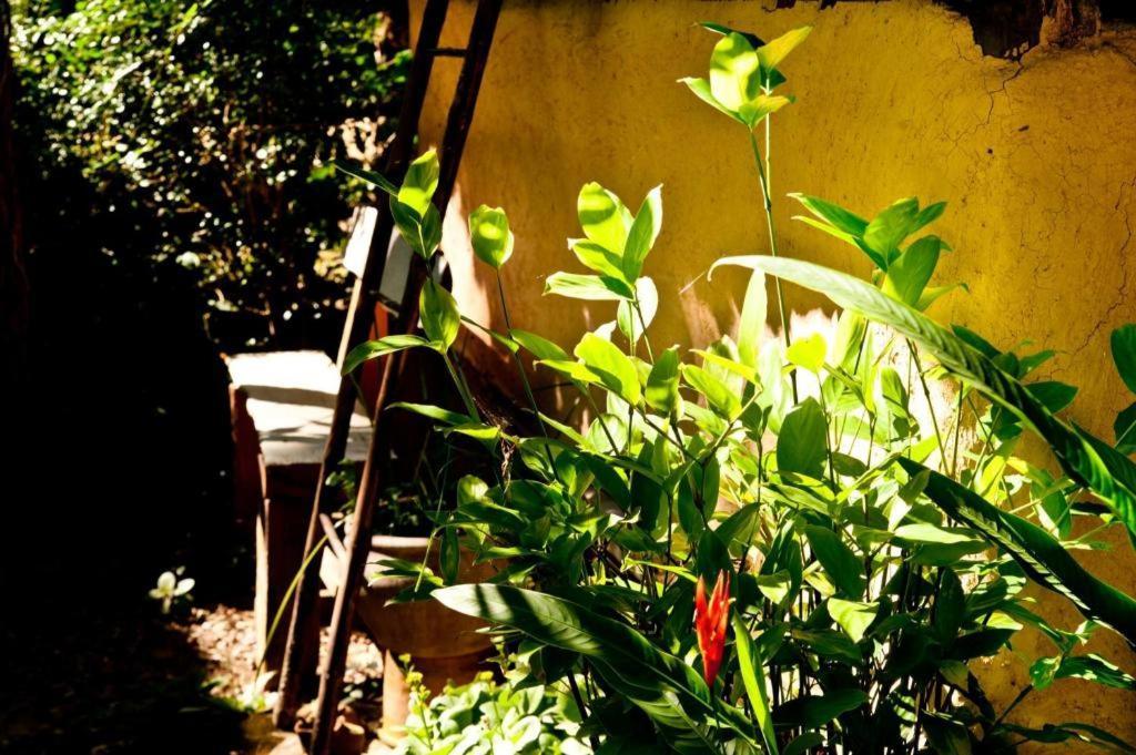 Khun Nai Tern Sai Hotel (Adults Only) Pai Exterior foto